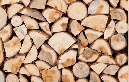 Дрова в Приморске: купить дрова с доставкой