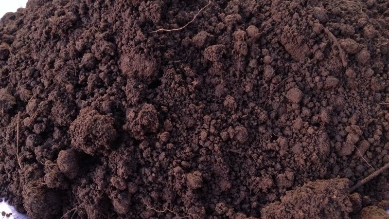 Торфогрунт с доставкой в Зеленогорск: плодородная земля с торфом 